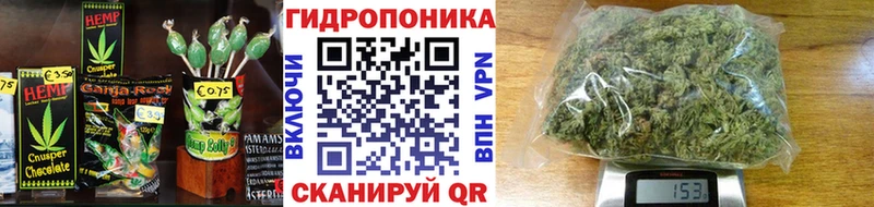 наркотики  Сенгилей  Cannafood марихуана 