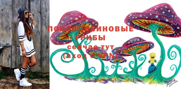 дурь Арсеньев