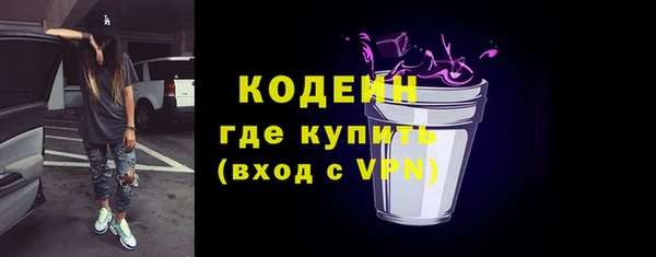 дурь Арсеньев