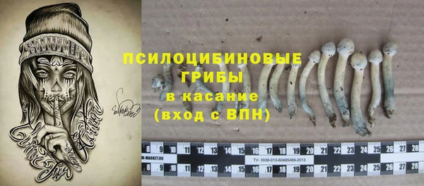бошки Аркадак