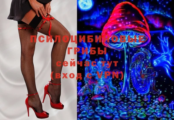 бошки Аркадак