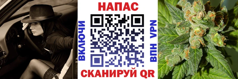 Бошки марихуана сатива  купить наркотик  Сенгилей 
